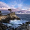 Pebble Beach Lone Cypress Evening By Bart Keagy Discount