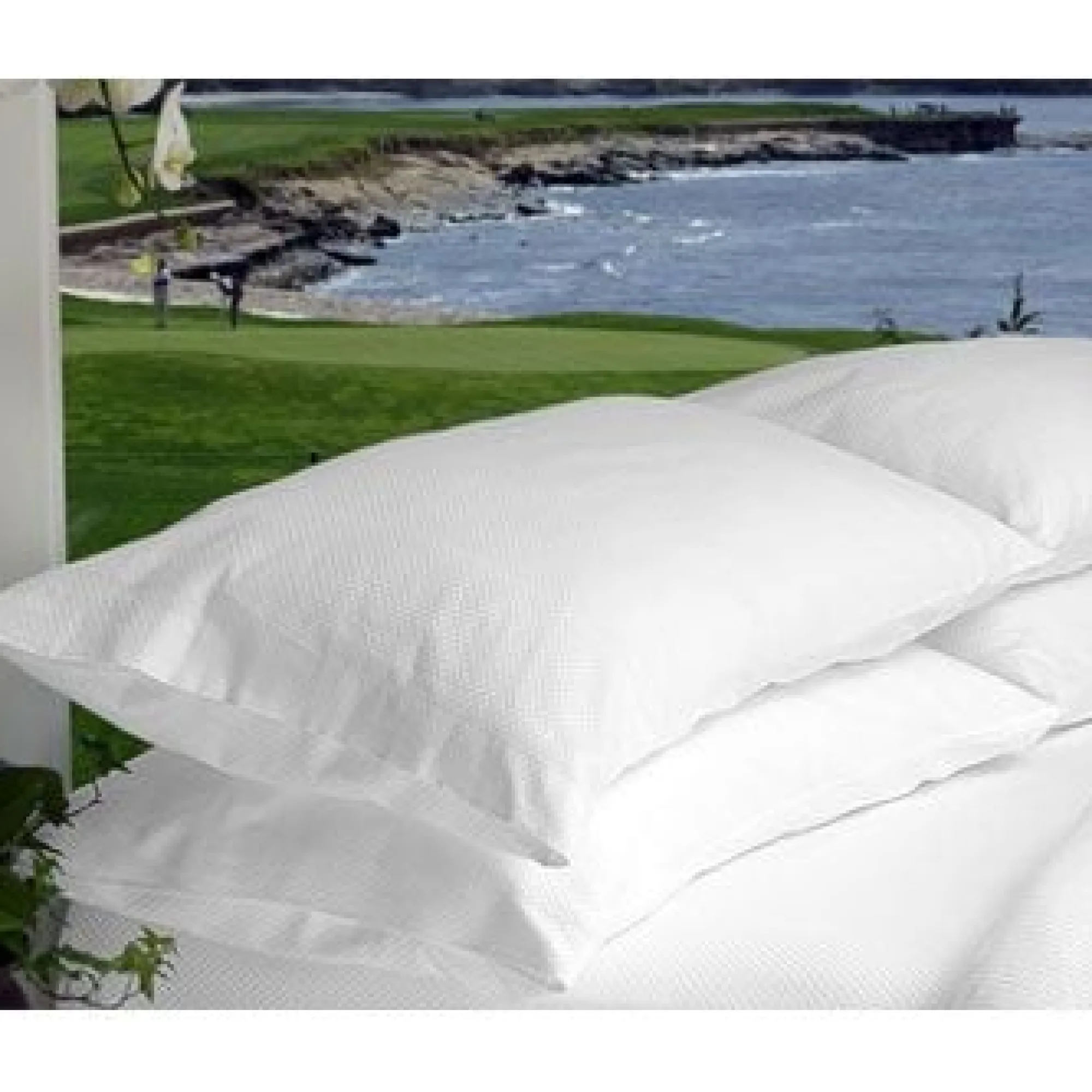Pebble Beach Resorts 100% Egyptian Cotton Micro-Check Pillow Cases - Two Case Set Outlet